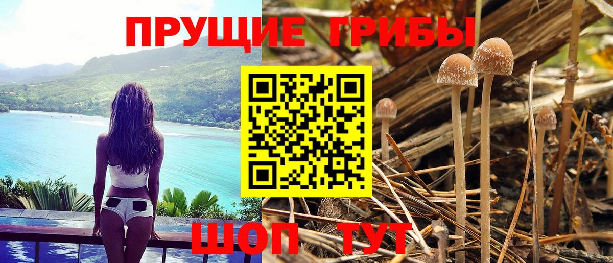 Псилоцибиновые грибы мухоморы Наро-Фоминск