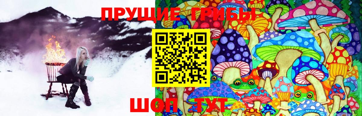 Псилоцибиновые грибы прущие грибы  Псилоцибиновые грибы мицелий  Вход с VPN  Наро-Фоминск 